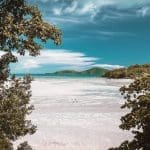 view through palm trees of a beach in Tahiti