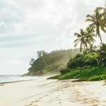 Seychelles Beach View
