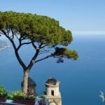 view from the Amalfi coast on a cliff over the water with a tree