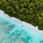 Ariel view with trees and white sandy beaches on a Maldives yacht charter