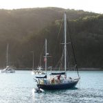 sailing boats in the Whitsundays